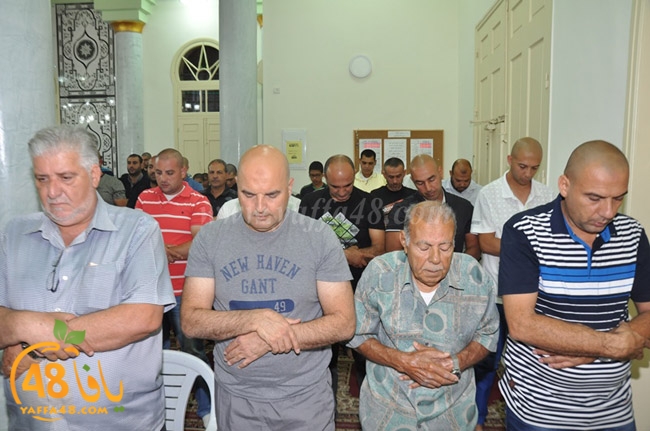 nozha mosqueqk (27).JPG